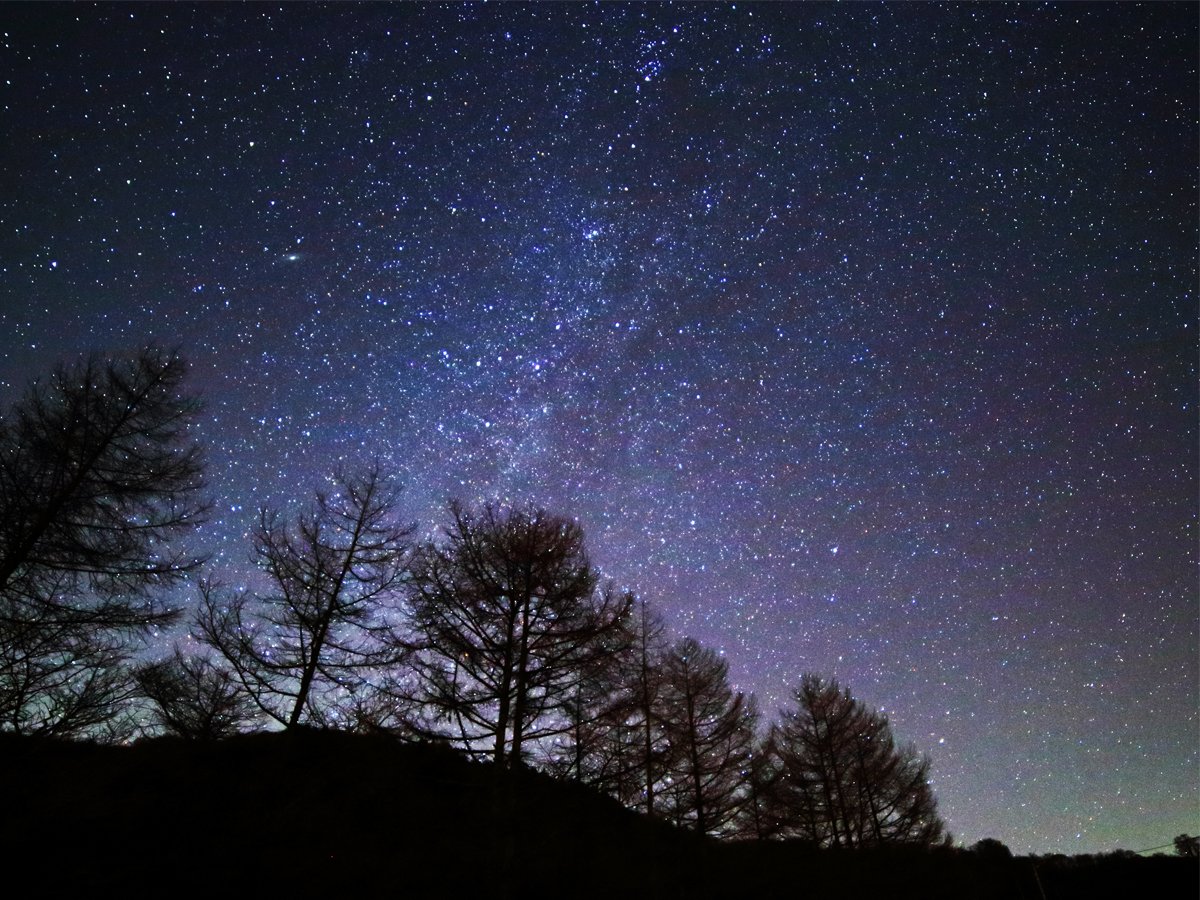 🏞️ 타네야마 고원(타네야마코겐) 이미지 3